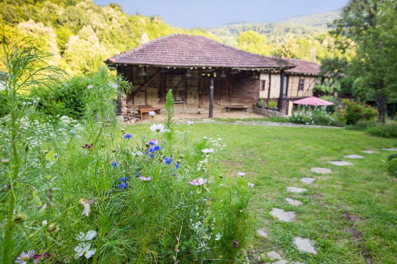 Little River Guest House Gabrovo Exterior photo